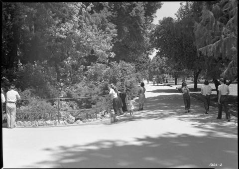 Photo of Capitol Park looking east toward 15th Street, circa 1948.  Visitors are seen strolling through the park, and some are gazing at the fish pond, peering over the railing.  Park foliage and walkways are visible.
