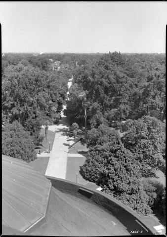 Photo taken from atop the Capitol apse looking east toward Capitol Park, circa 1948. Lush foliage and the treetops are clearly seen from this aerial perspective. Minimal building skyline is evident to the east.  Walking paths and lamp posts are visible.  State photo lab photographers documented the Capitol area prior to demolition of the apse in the late 1940s.